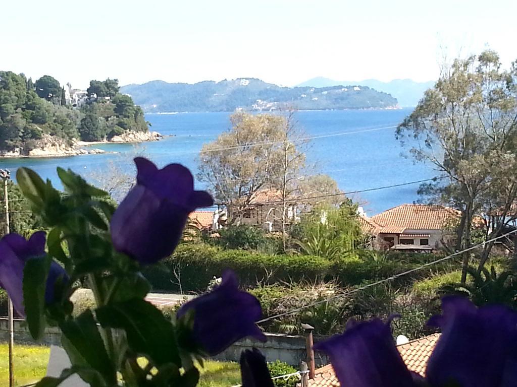 Tzaneria Apartments Skiathos Канапитса Экстерьер фото